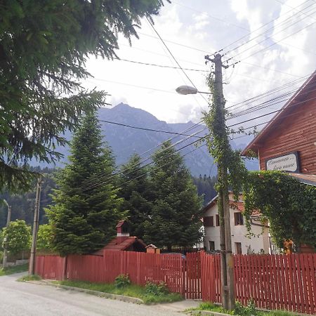 Pensiunea Fara Nume Buşteni Екстериор снимка